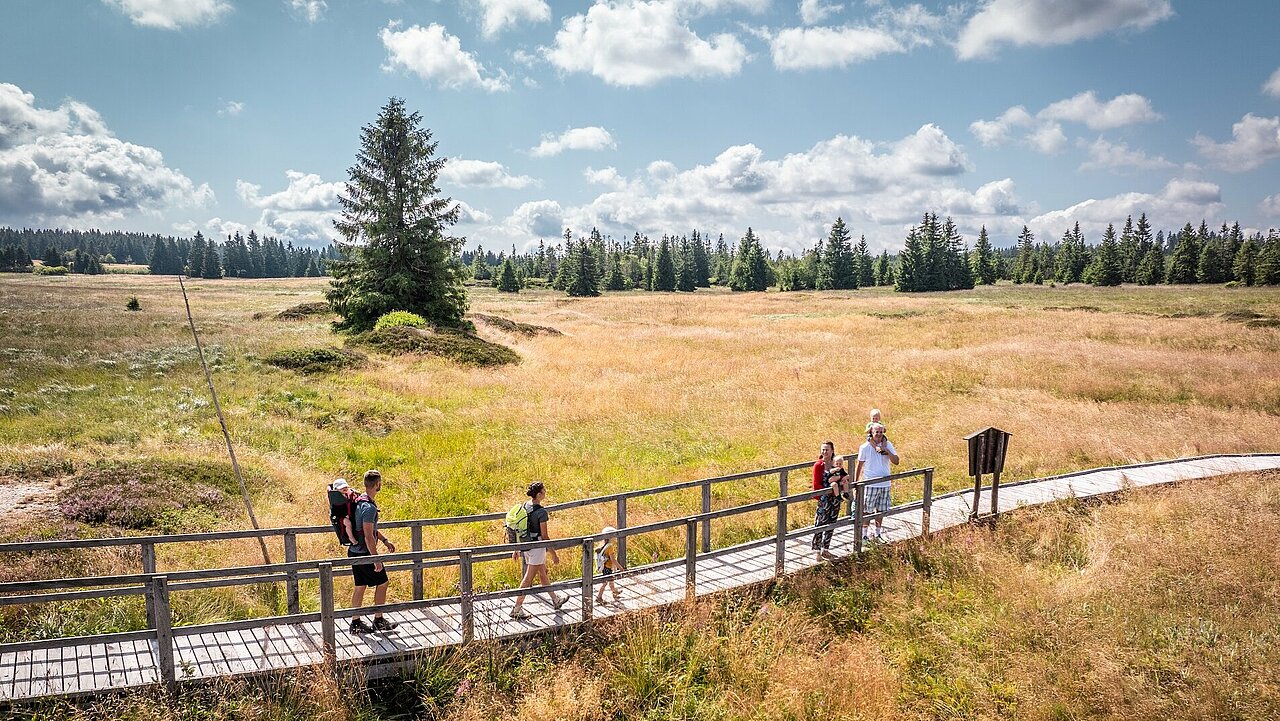 Herbst im Erzgebirge